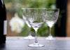 Wine Glasses Lens Set of 2