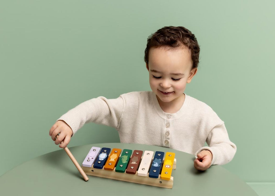 Wooden xylophone