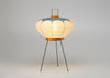 Akari 9AD Table Lamp