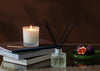 Woodnotes Fig, Ginger & Cedar Natural Reed Diffuser
