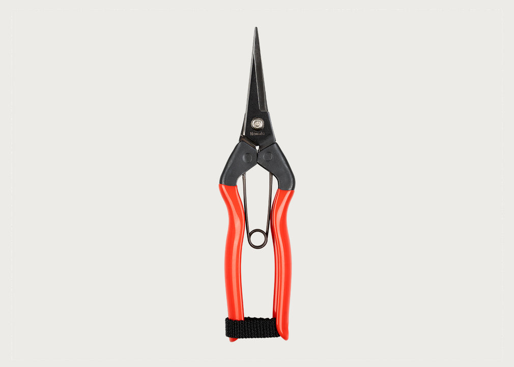 Garden Snips