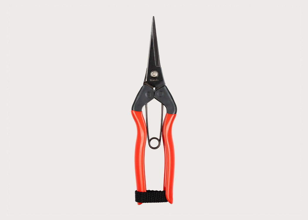 Garden Snips