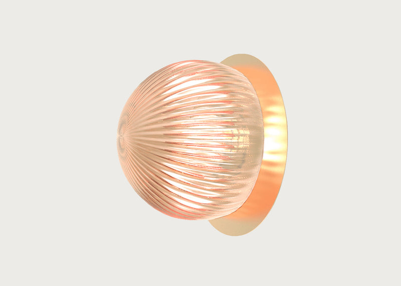 Roi Wall/Ceiling Light With Disc