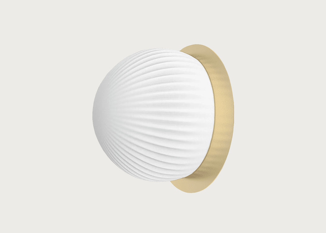 Roi Wall/Ceiling Light With Disc