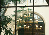 Root 3 Tier Chandelier