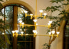 Root 3 Tier Chandelier