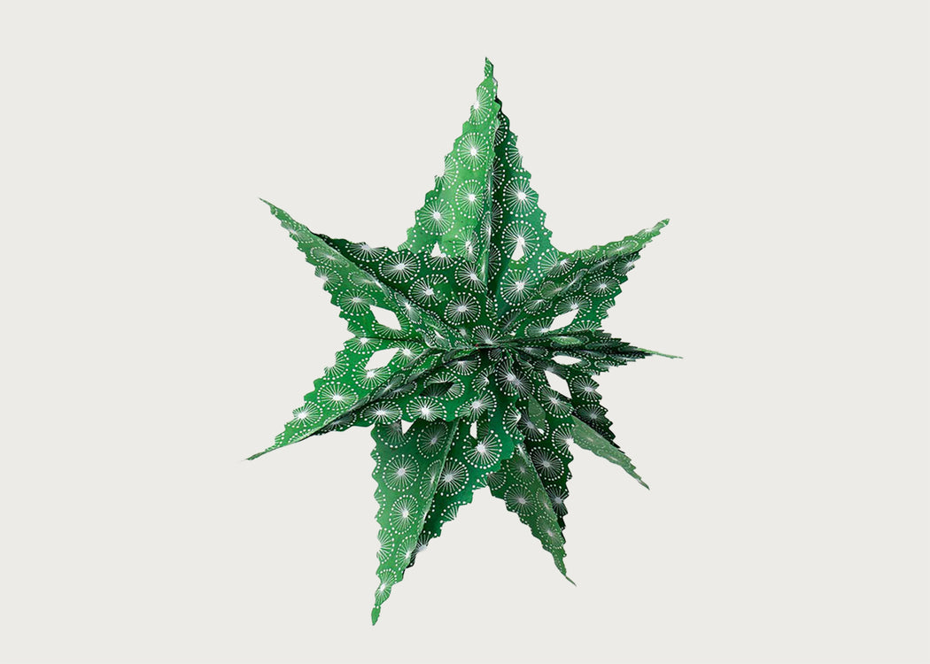 Sirius Dandelion Star Green Decoration