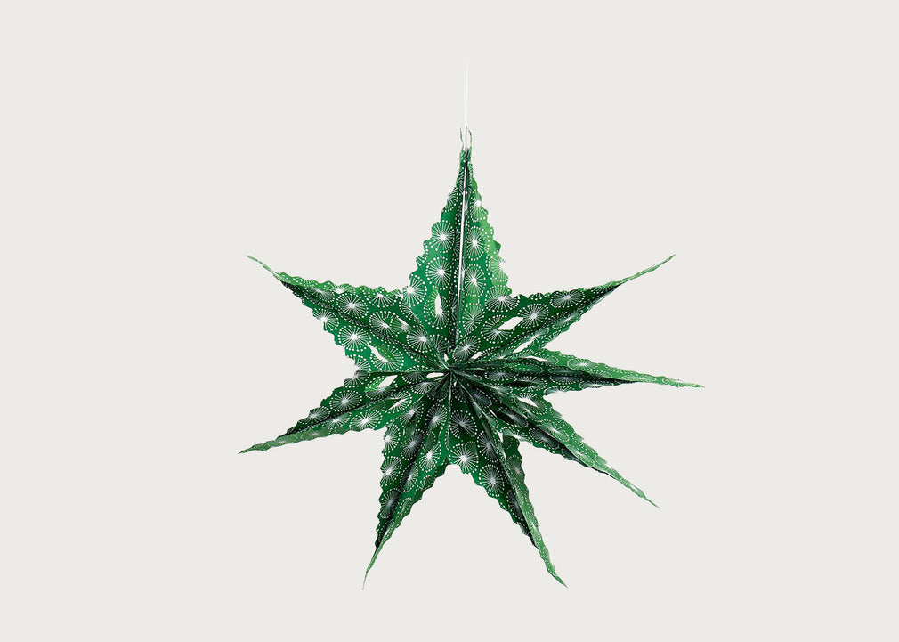 Sirius Dandelion Star Green Decoration
