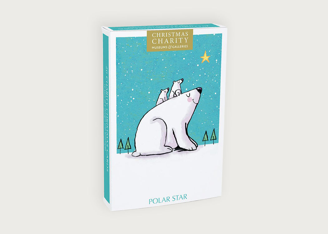 Polar Star Charity Christmas Cards Pack of 20