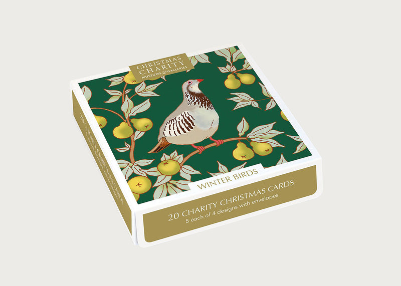 Winter Birds Charity Christmas Cards Square Pack of 20