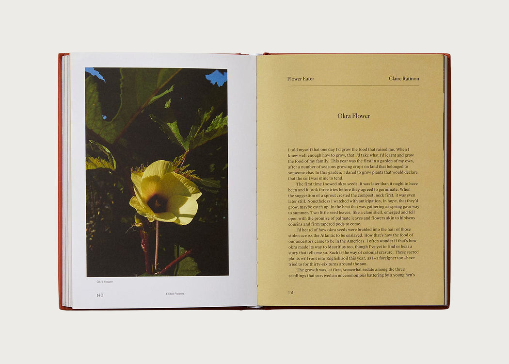 Edible Flowers: How, Why, and When We Eat Flowers
