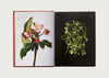 Edible Flowers: How, Why, and When We Eat Flowers