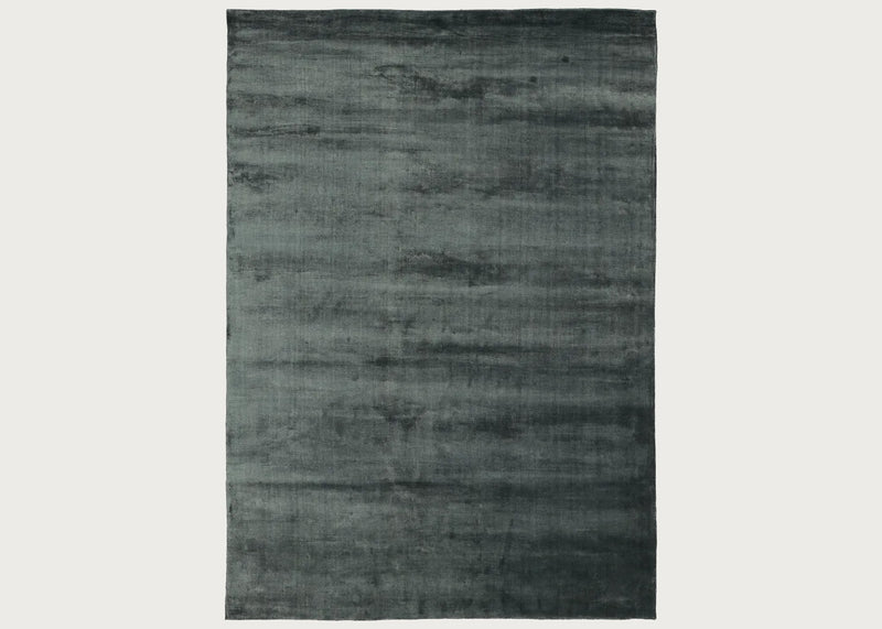 Lucens Rug Cactus