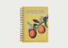 Hanging Fruit Spiral Recipe Journal