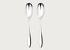 Santol Serving Spoons Set of 2