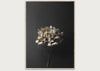 Still Life 04 (Hydrangea) by Pia Winther 30 x 40cm Print