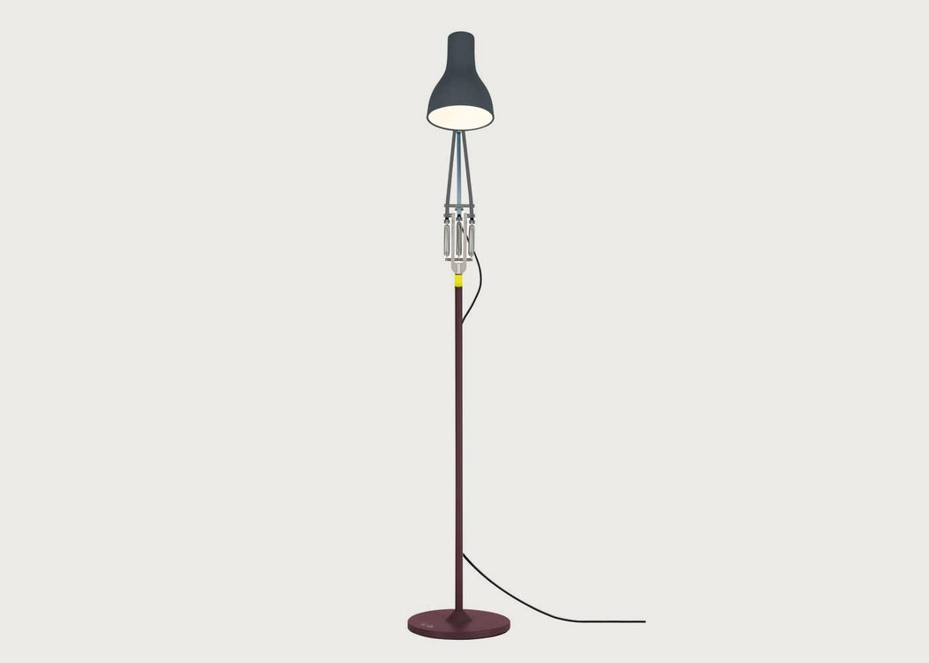Type 75 Floor Lamp Anglepoise Paul Smith Edition 4