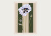 Limited Edition Poppy Print