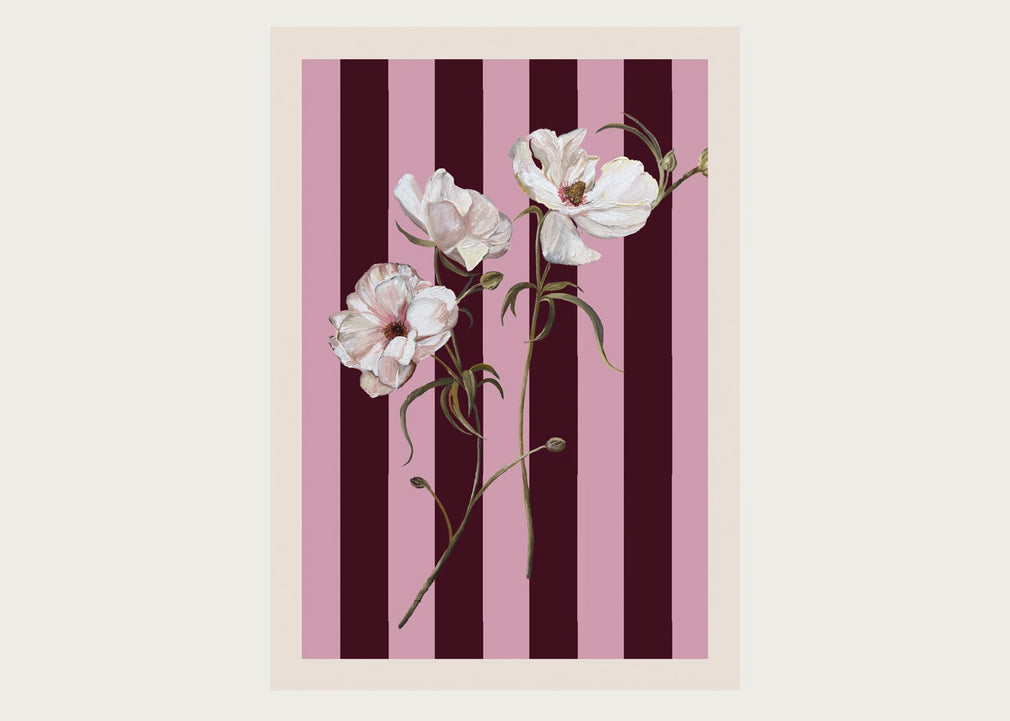 Limited Edition Ranunculus Print