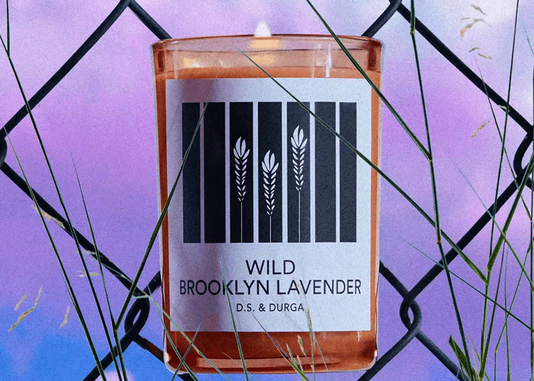 Wild Brooklyn Lavender Candle