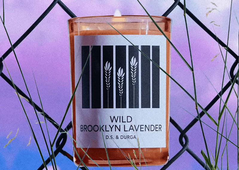 Wild Brooklyn Lavender Candle