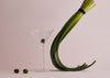 Martini Glass with Olive