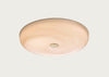 Stockholm LED Wall/Ceiling Surface Light IP44 Marble Brown