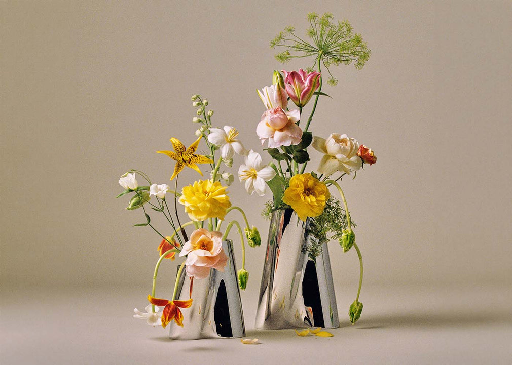 Litus Vase Medum