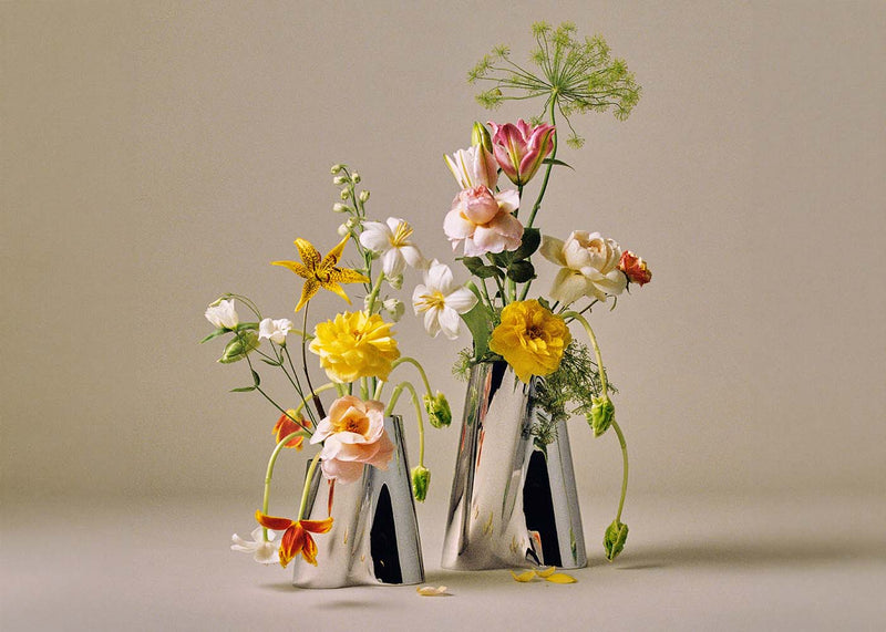 Litus Vase Medum