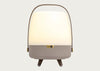 Lite Up Play LED Portable Speaker Lanter Earth