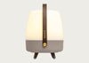 Lite Up Play LED Portable Speaker Lanter Earth