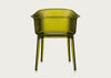 Papyrus Chair Set of 2 Olive Green