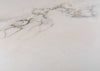 Odessa Dining Table