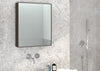 Slimline 550 Bathroom Wall Cabinet Slim Oak