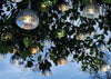 E' Pendant Light Transparent Yellow