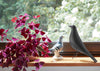Eames House Bird Cotton White Ash