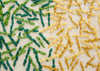 Backstitch Calm Rug Green 170cm x 240cm