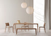 Latus Dining Chair European Walnut