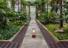 The Muse LED Portable Table Lamp Candlenut