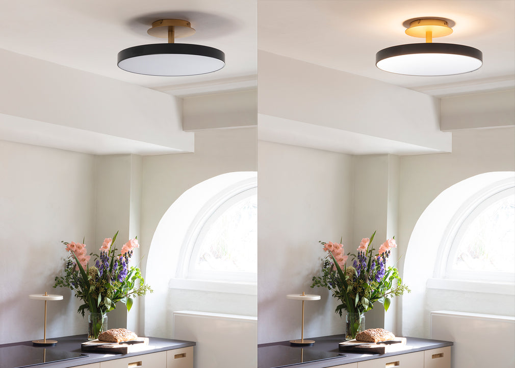 Asteria LED Up Flush Ceiling Light Pearl White / Large