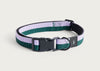 HAY Dog Collar Flat Lavender & Green / Large