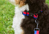 HAY Dog Collar Flat Lavender & Green / Large