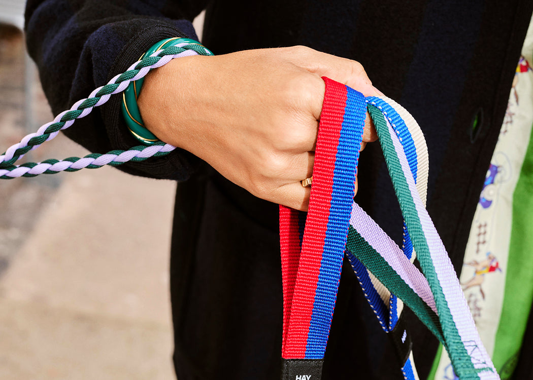 HAY Dog Leash Braided Lavender & Green