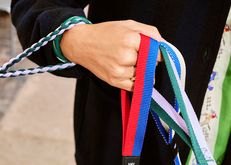 HAY Dog Leash Braided Lavender & Green