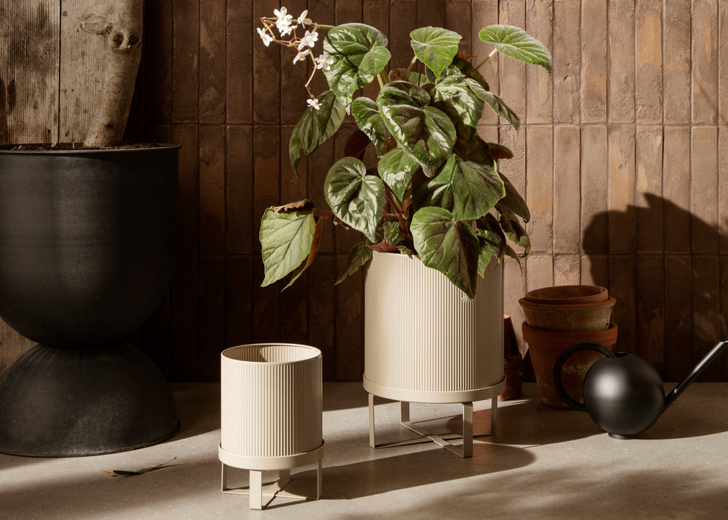 Bau Planter Black / Large