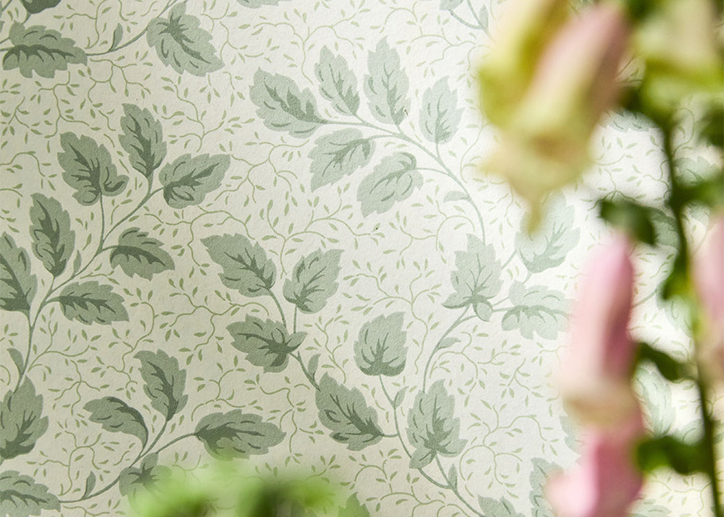 Tomato Leaf Wallpaper Willow