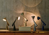 Pose LED Task Lamp Pose Kelp