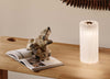 Press LED Table Lamp Clear
