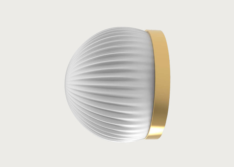 Roi Wall/Ceiling Light Simple