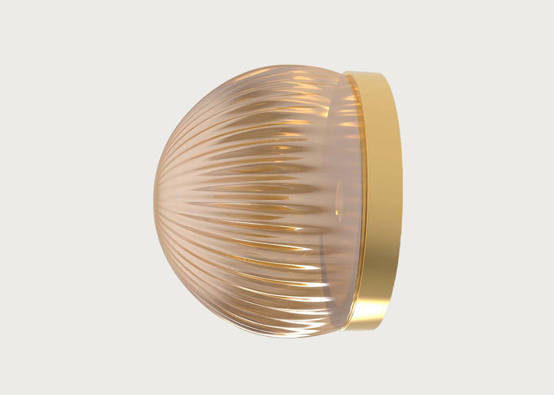 Roi Wall/Ceiling Light Simple